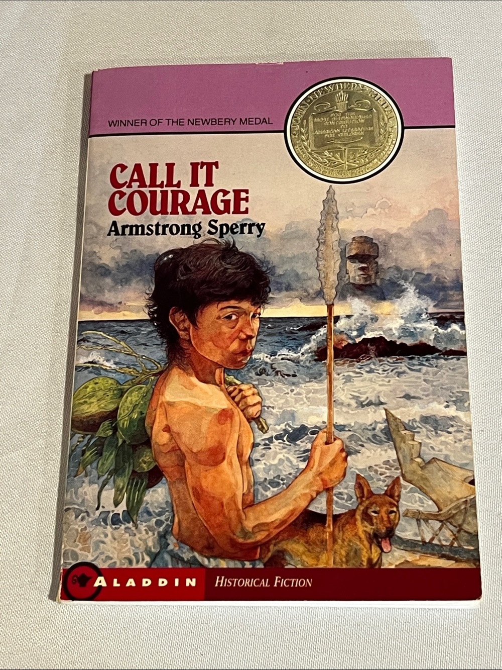 Call It Courage by Armstrong Sperry - Illustrated Paperback (Pink, Cream, Brown)